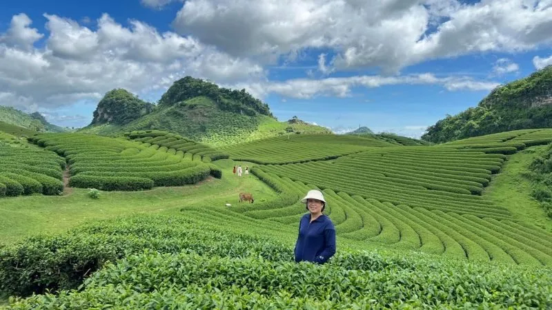 Những đồi chè xanh trải dài là background tự nhiên rất đẹp cho những chuyến Du lịch Mộc Châu