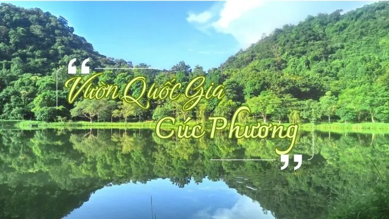 Cúc Phương là khu rừng nguyên sinh nổi tiếng với hệ sinh thái đa dạng