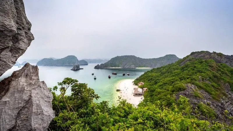 Vườn quốc gia Cát Bà sở hữu hệ sinh thái rừng và biển đa dạng